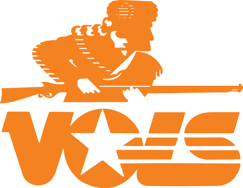 Tennessee Volunteers 1983-1996 Primary Logo DIY iron on transfer (heat transfer)